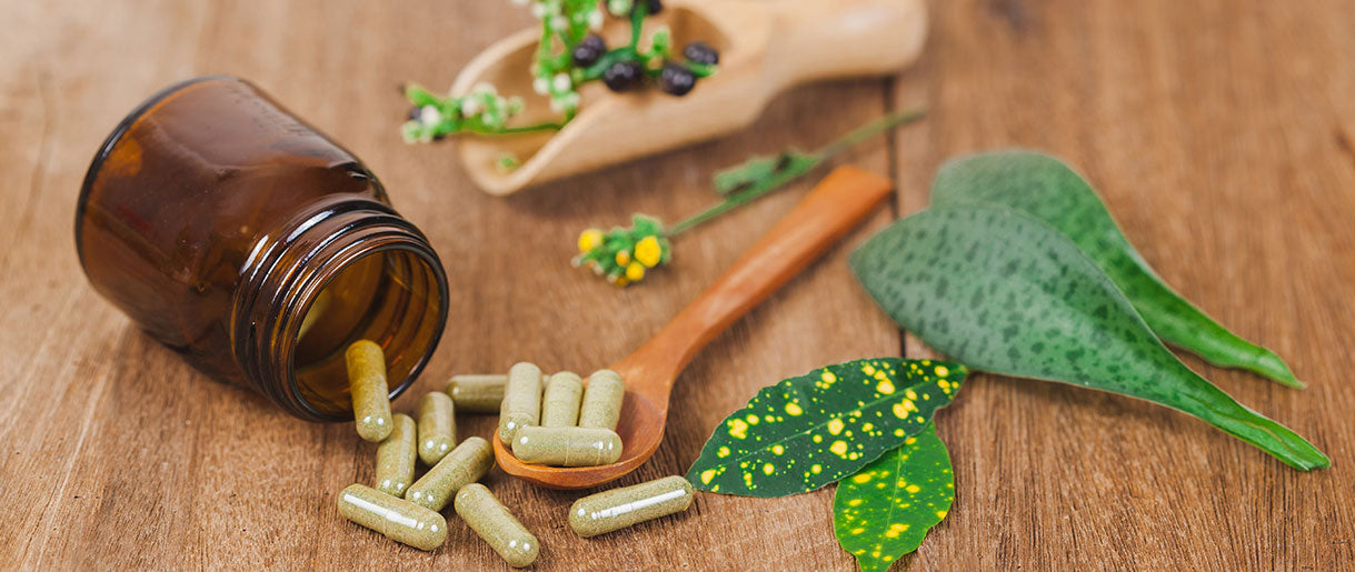 10 Best Nootropics For Studying According To Researchers