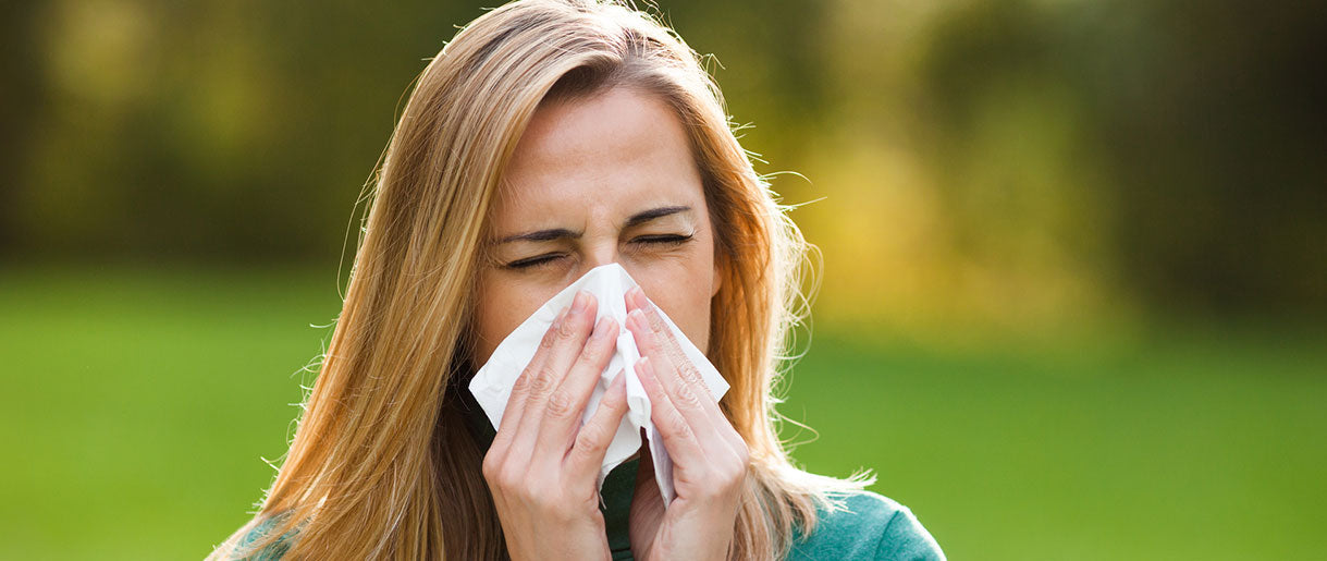 What We Know About the Benefits Of Reishi For Allergies