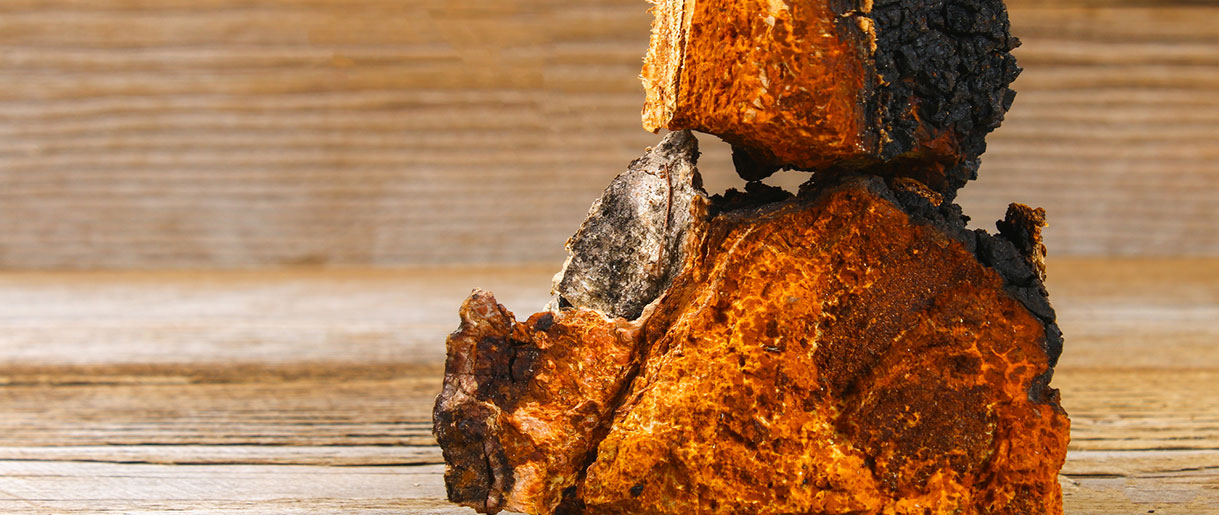 Chaga and Lion’s Mane: Uncover Their Synergistic Benefits