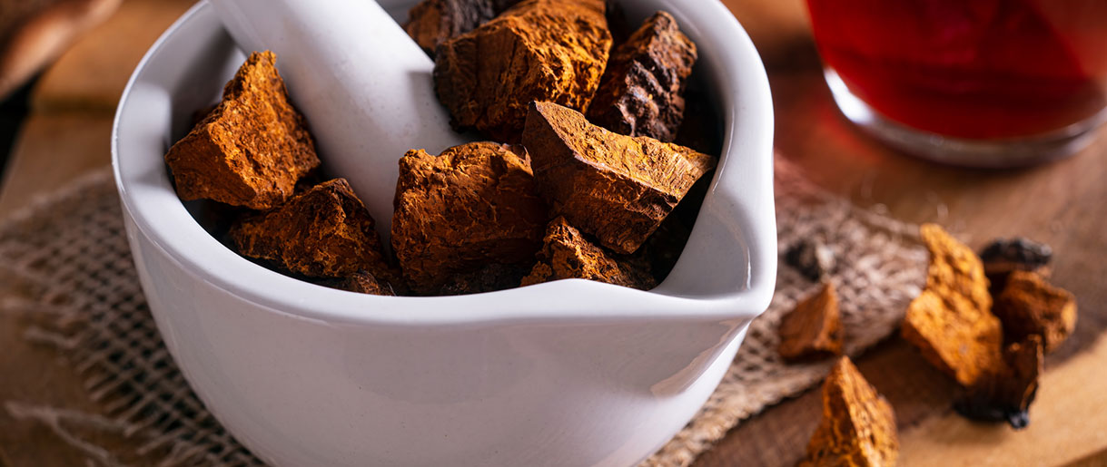 We Studied Chaga Oxalates and How to Keep Kidneys Healthy