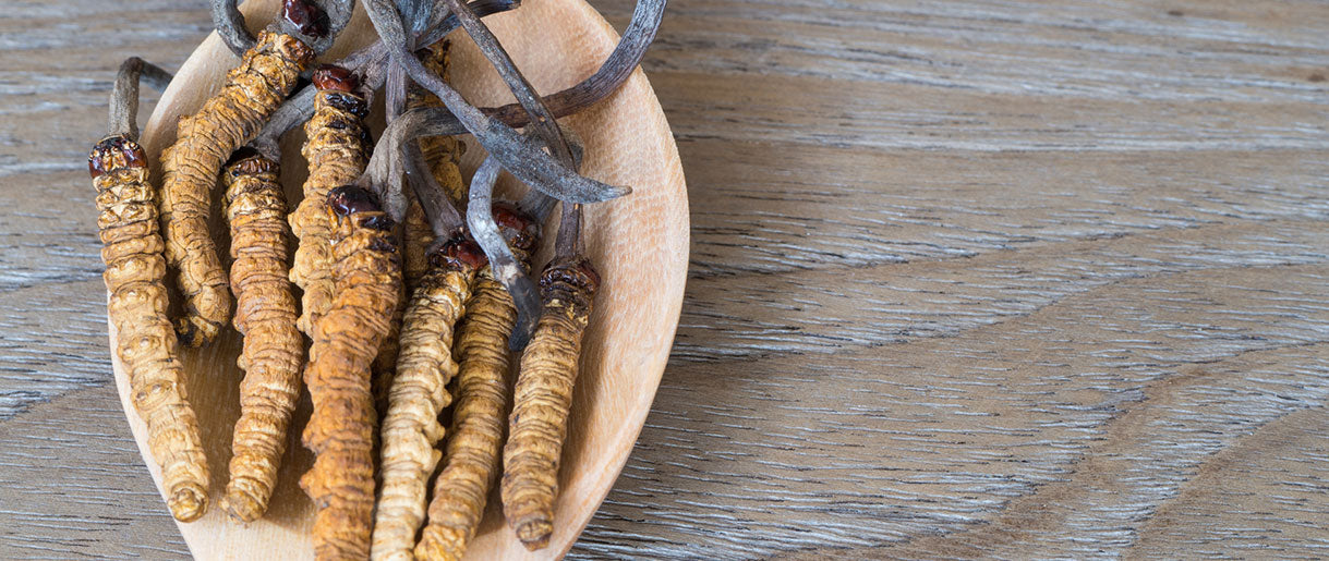 Cordyceps Dosage Decoded: Unlocking Nature's Powerhouse