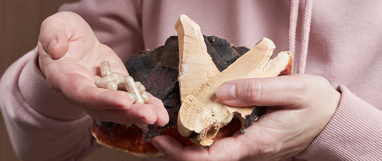 Do Mushroom Supplements Really Work? Comprehensive Guide