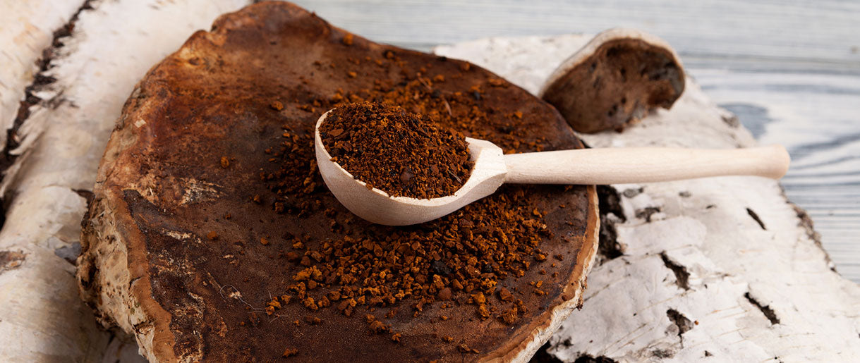 A Detailed Look Into Secrets Of Mushroom Powder Vitamin D