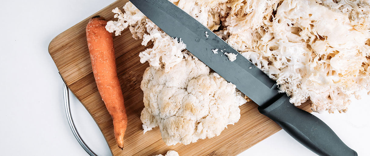 We Researched Lion's Mane Nutrition Facts: See Results