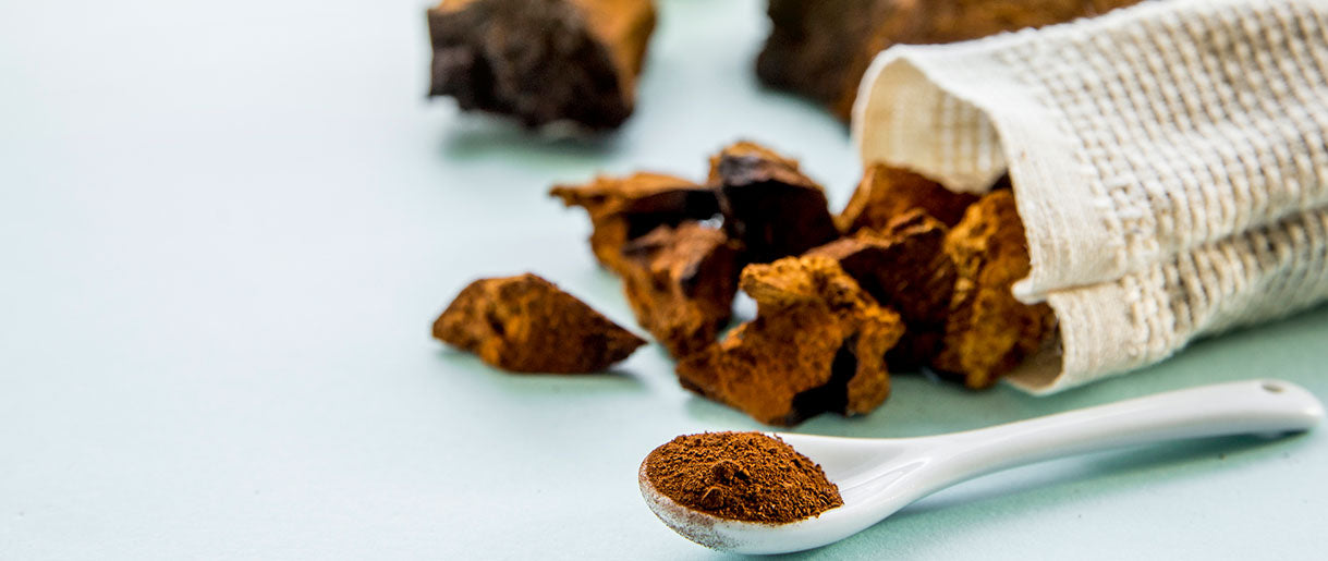 Mushroom Powder Benefits Revealed: Your Path To Wellness