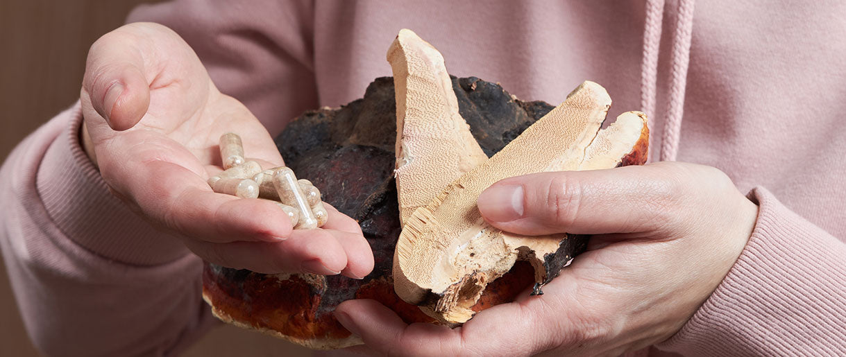 Mushroom Supplement Benefits: Pick The One That Matters The Most