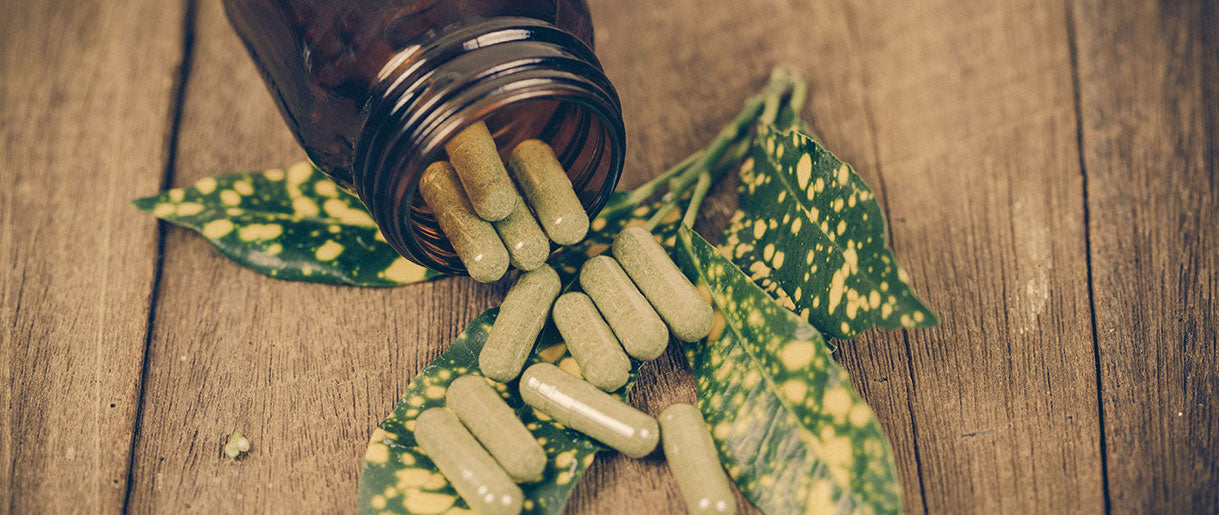 10 Best Nootropics for Memory and Brain Health in 2024