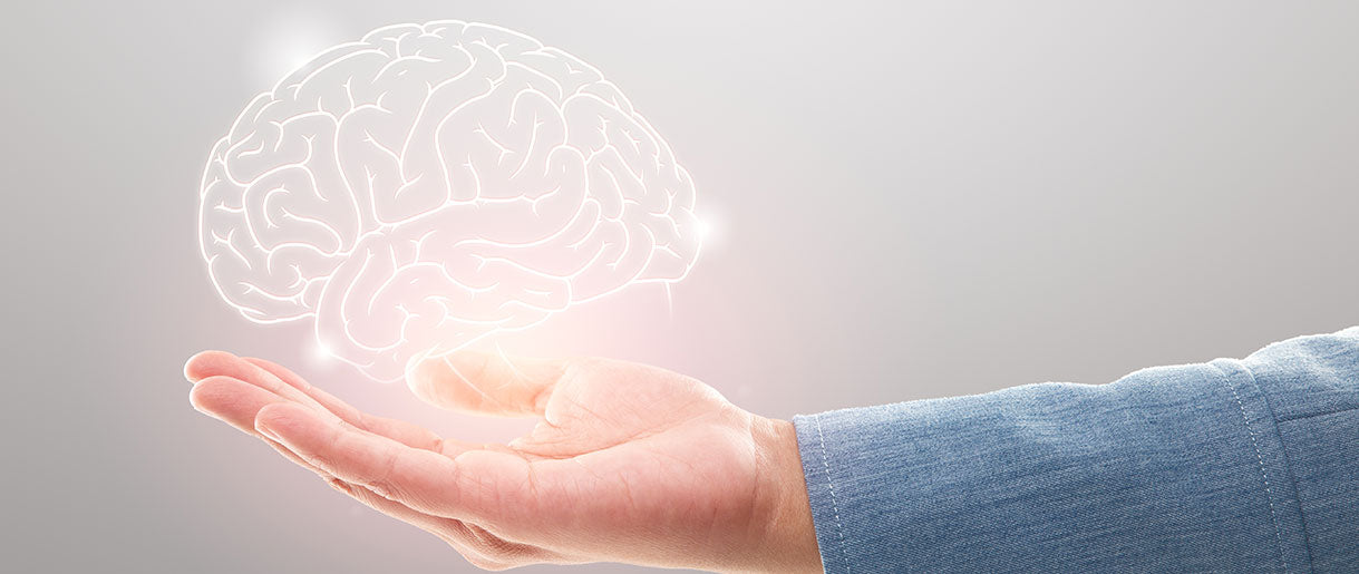 Top Brain Health Benefits Of Lion's Mane Neurogenesis