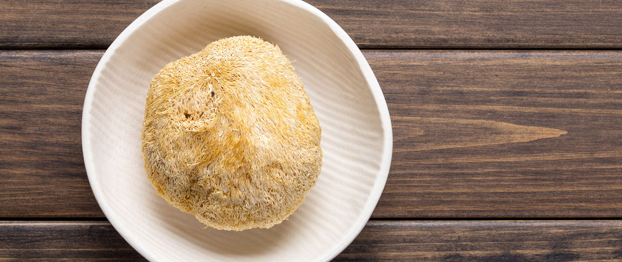 How Does Lion's Mane Work? Explore Its Efficacy with Us