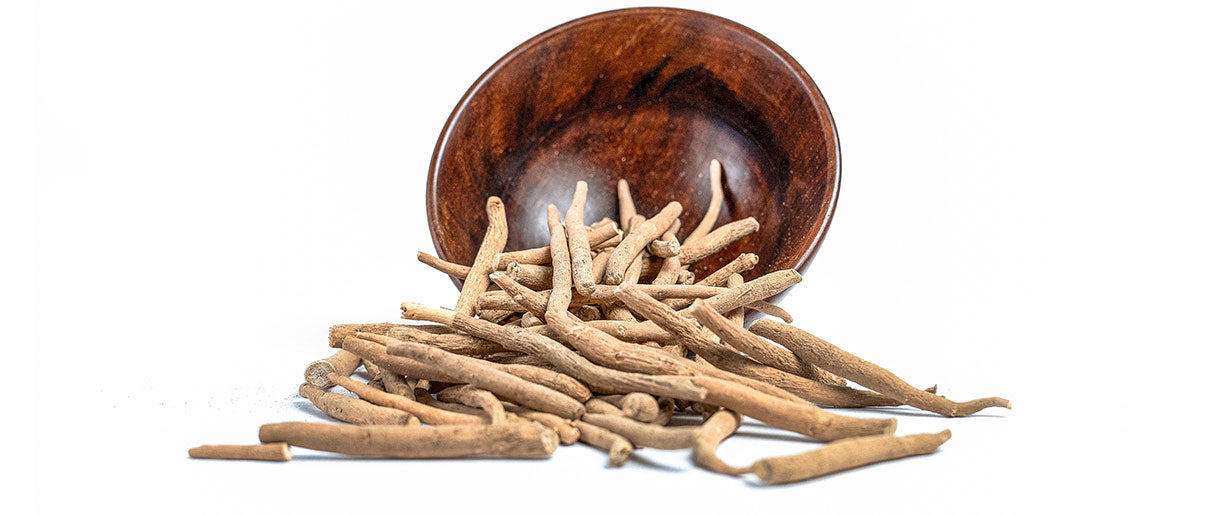 5 Research-Backed Benefits Of Ashwagandha For Energy