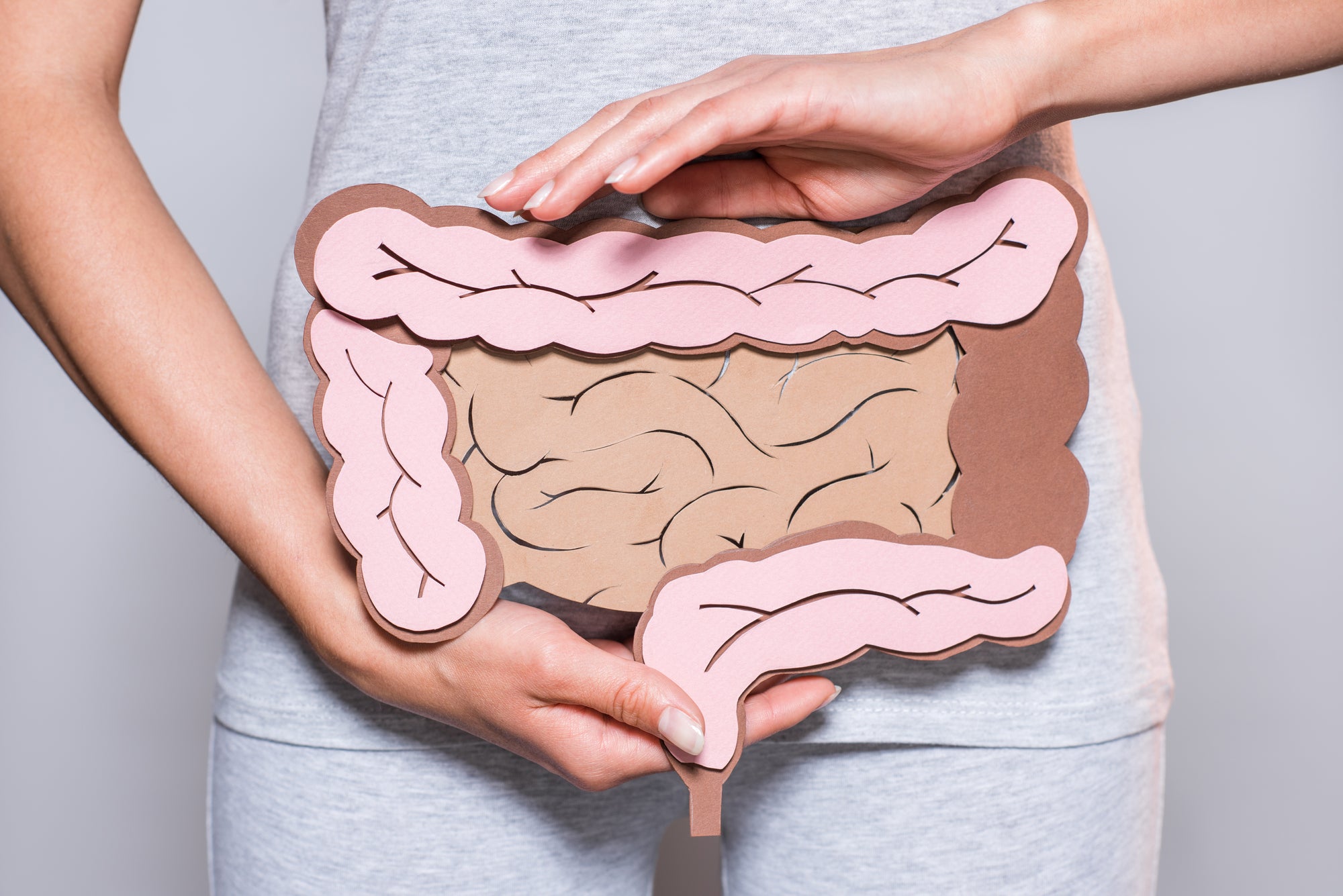 6 Best Medicinal Mushrooms For Improving Gut Health And Digestion