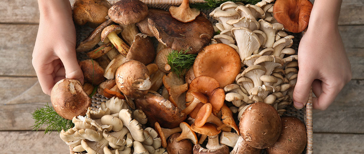 Are Mushrooms A Superfood? Exploring The Health Benefits
