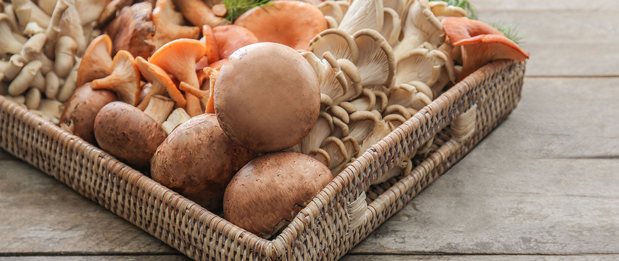 Can You Eat Raw Mushrooms? Our Physician's Answer
