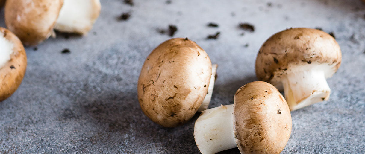 Do Mushrooms Have Protein? Here Is The Surprising Truth!