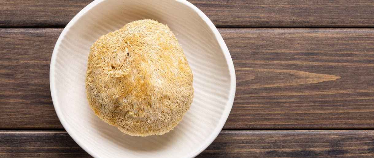 How Long Does It Take For Lion’s Mane Mushroom To Work?