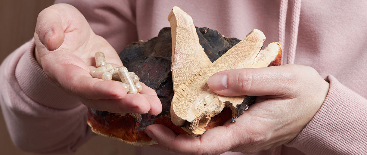 How Long Does It Take For Reishi Mushroom To Work?