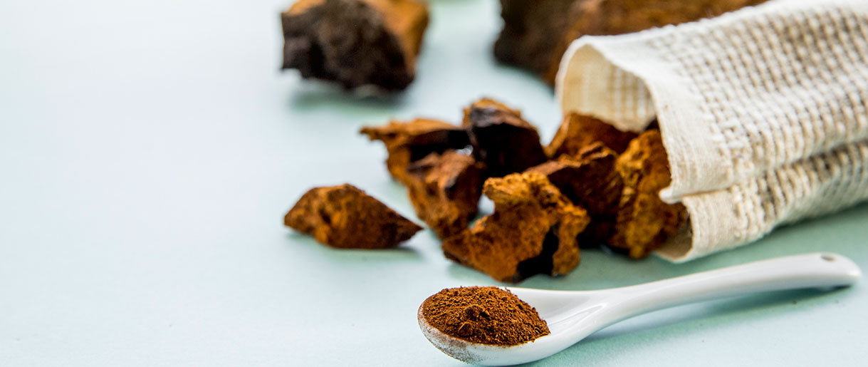 How To Use Chaga Powder: The Guide To Our 5 Go-To Ways