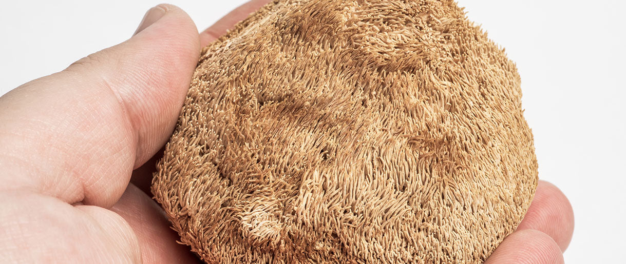 How To Use Lion's Mane Mushroom: A Complete Guide
