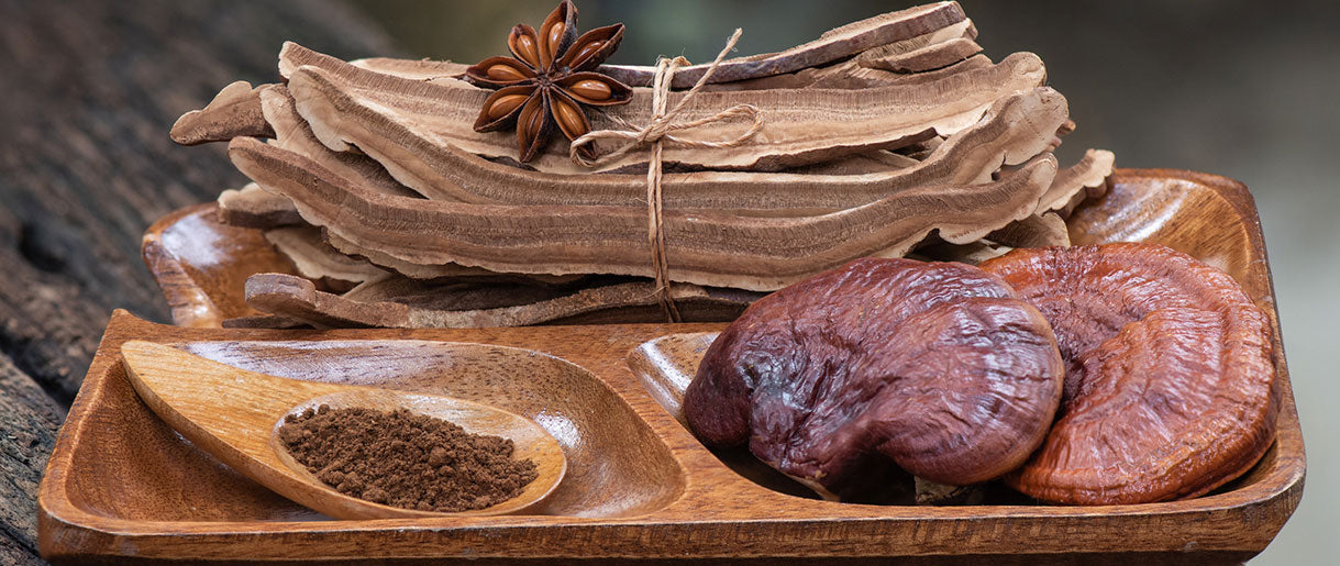 How To Make Mushroom Powder And Reap The Health Benefits