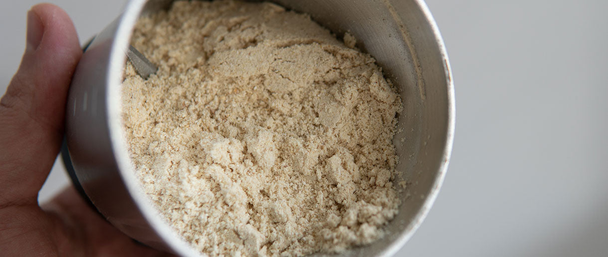 Lion's Mane Extract VS. Powder: Which One Is Better For You?