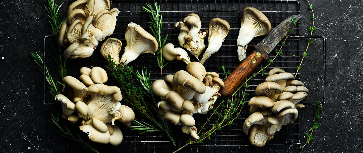 Maitake Mushrooms: Nutritional Values, Facts, And Benefits