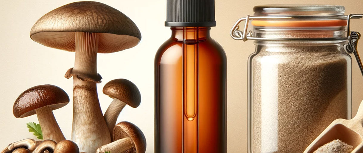 Mushroom Extract Vs. Powder: Which One Should You Choose?