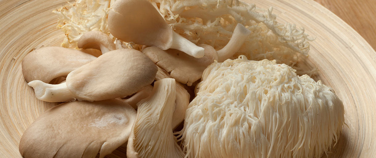 We Have Discovered The 4 Best Mushroom For ADHD Natures Rise