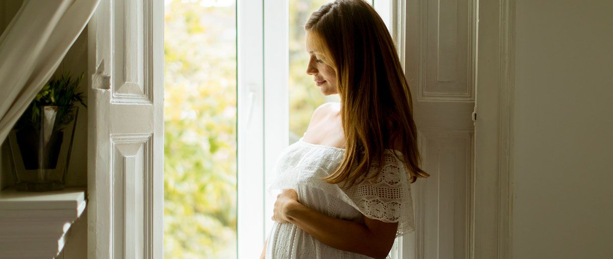 Reishi Mushroom Pregnancy: Is Reishi Mushroom Safe For Pregnancy?