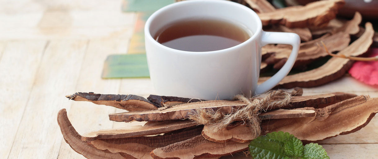 Reishi Mushroom Tea: The Amazing Benefits And How To Make