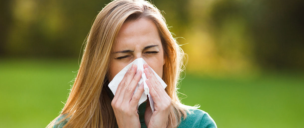 Surprising Benefits Of Mushrooms For Allergy Sufferers