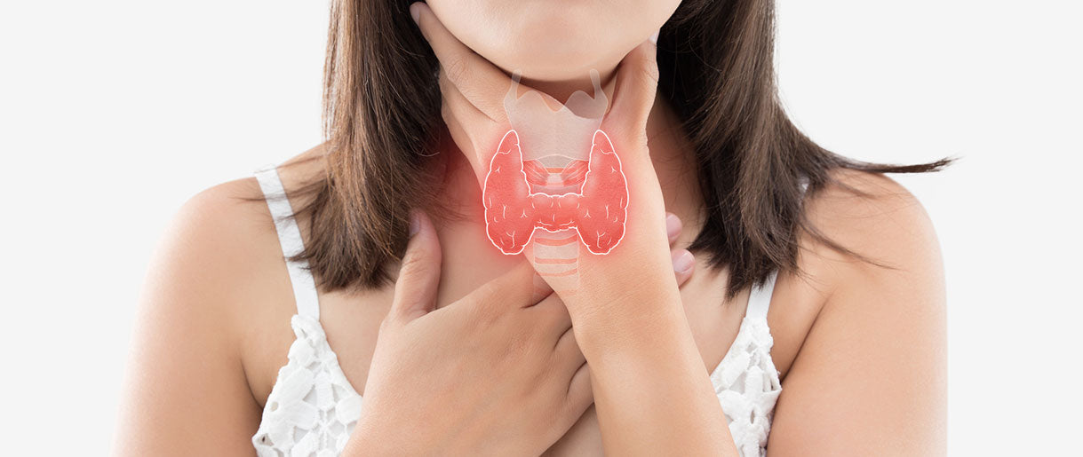 The Benefits Of Medicinal Mushrooms For Thyroid Function