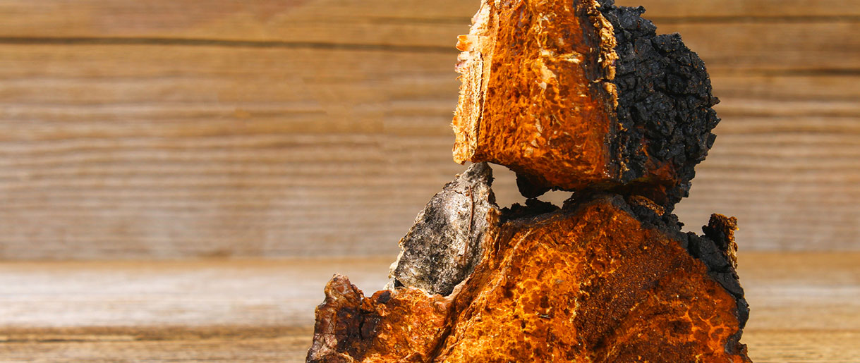 We Analyzed The Two Sides Of Chaga: See Our Results