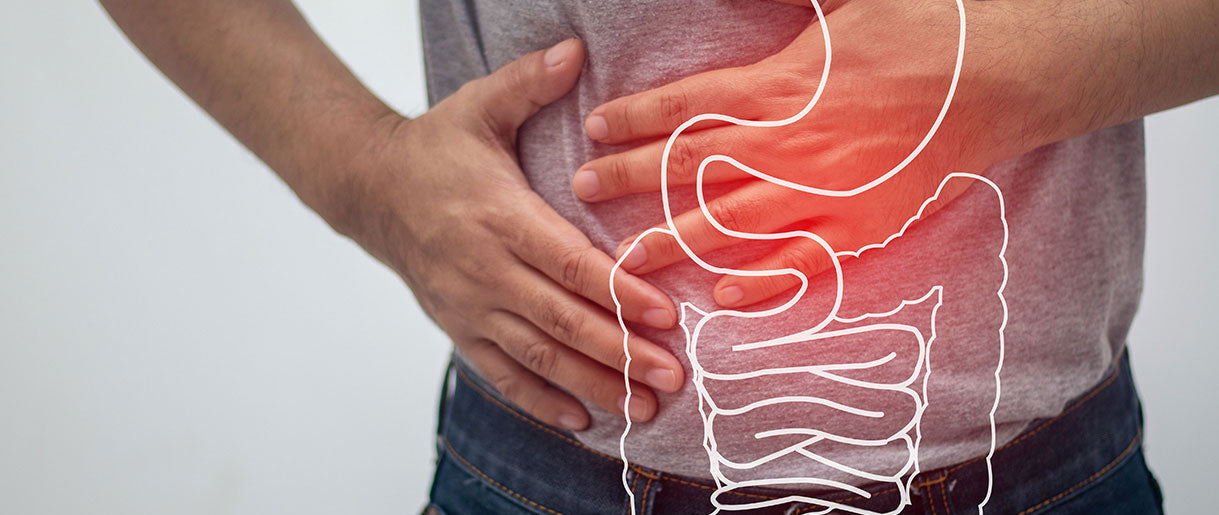 These Natural Gut Health Supplements Boost Your Health