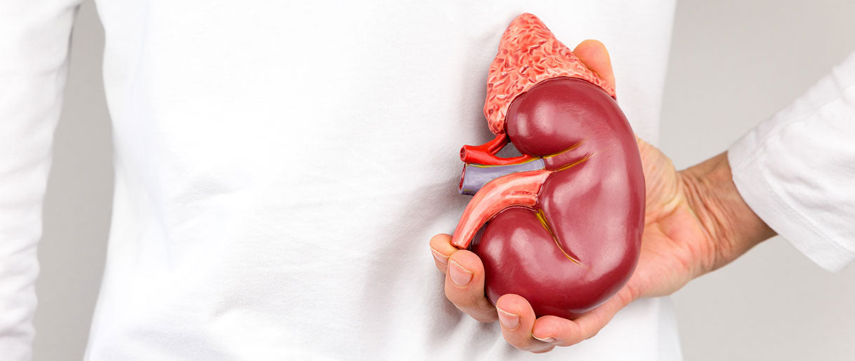 Using Mushrooms For Adrenal Fatigue? Here’s Our Top Picks