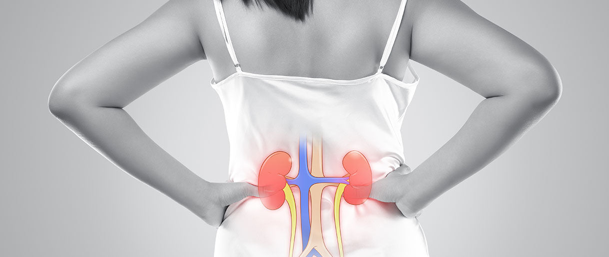 We Investigated Cordyceps Adrenal Fatigue Benefits