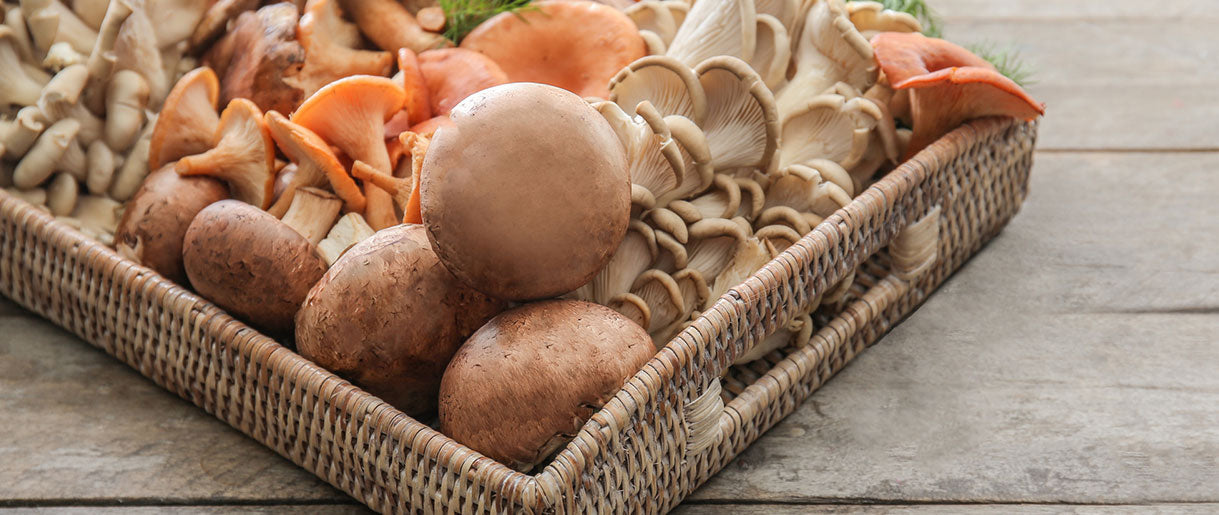 We Uncover Everything About Vitamin D In Mushrooms